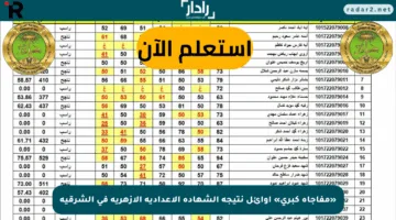 «مفاجأة كبرى» أوائل نتيجة الشهادة الإعدادية الأزهرية في الشرقية